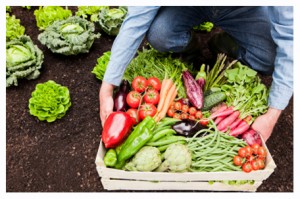 Farm, Basket, Groceries, Produce